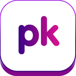 PlayKasino logo